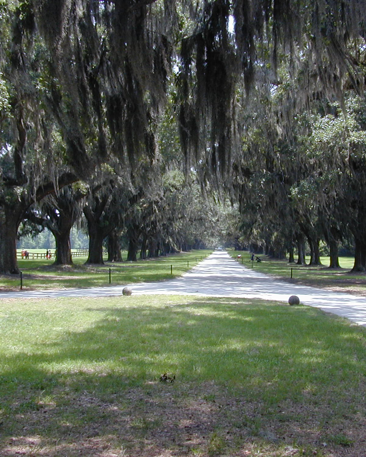 Boone Hall near Mount Pleasant, SC